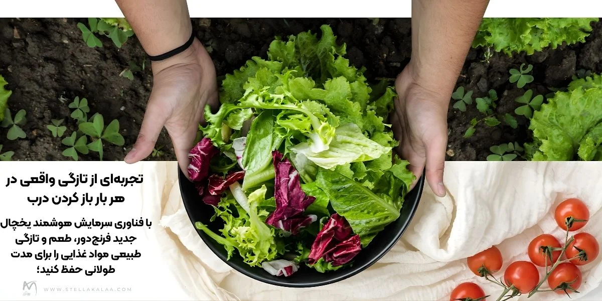 سیستم خنک کنندگی یخچال ال جی مدل X39